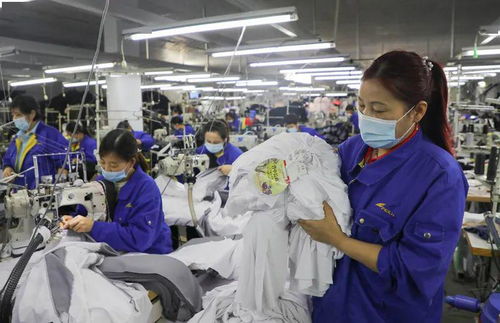 培育新機 開辟新局——落實全國兩會精神激發經濟發展新動能述評